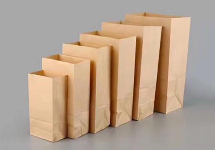 Paper Bag