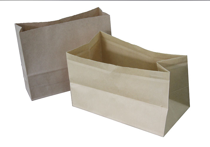 Paper Bag