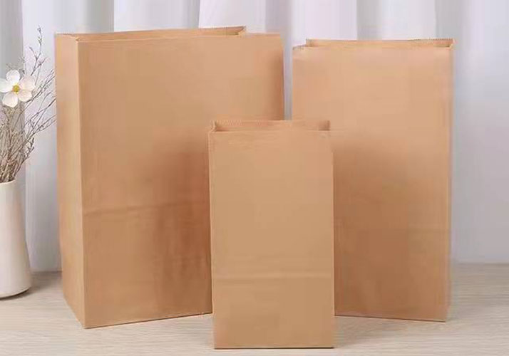 Paper Bag